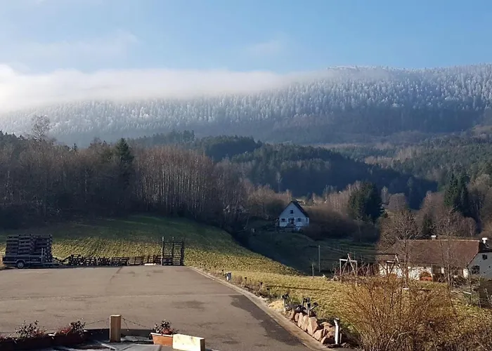 Le Cocon Des 3 Pins *