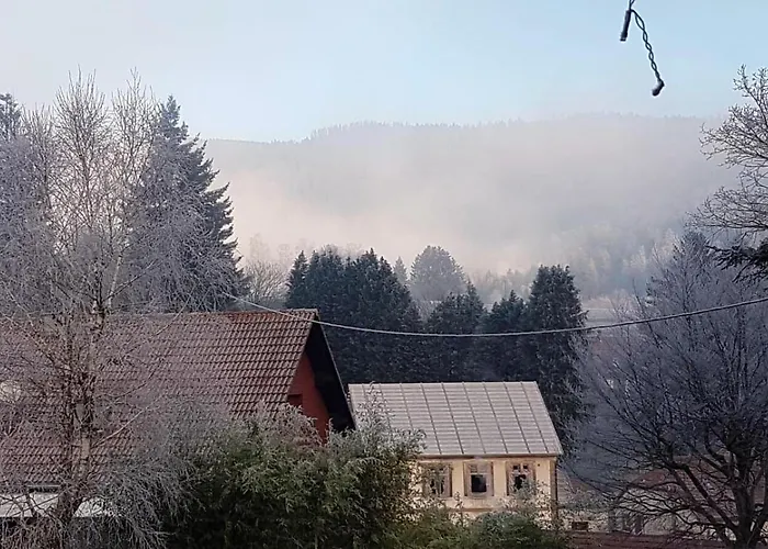 Le Cocon Des 3 Pins Hébergement de vacances Champenay